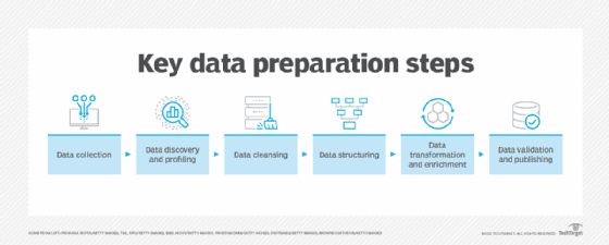 Data Collection and Preparation