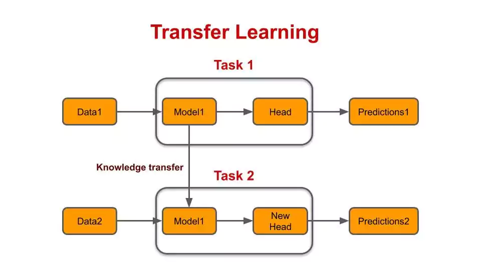 Transfer Learning 