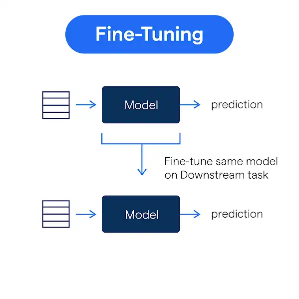 Fine-tuning and Model Selection