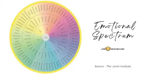 The Emotional Spectrum