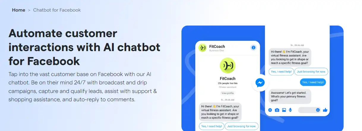 Third-Party Chatbot Development Platforms (Examples)