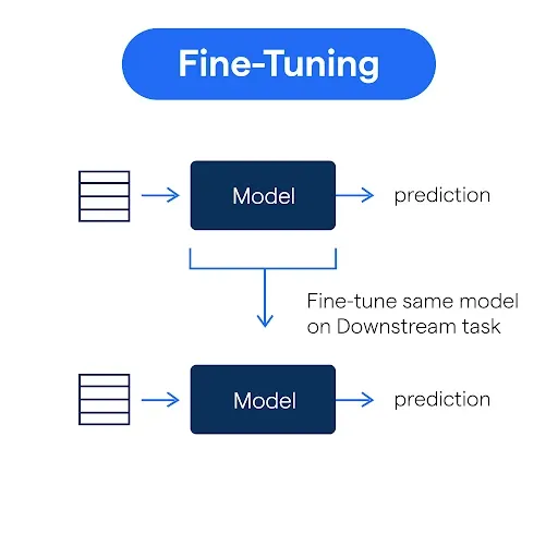 Optimizing and Fine-Tuning