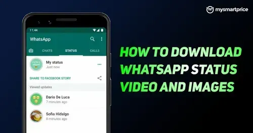 Download Someone's WhatsApp Messenger Status