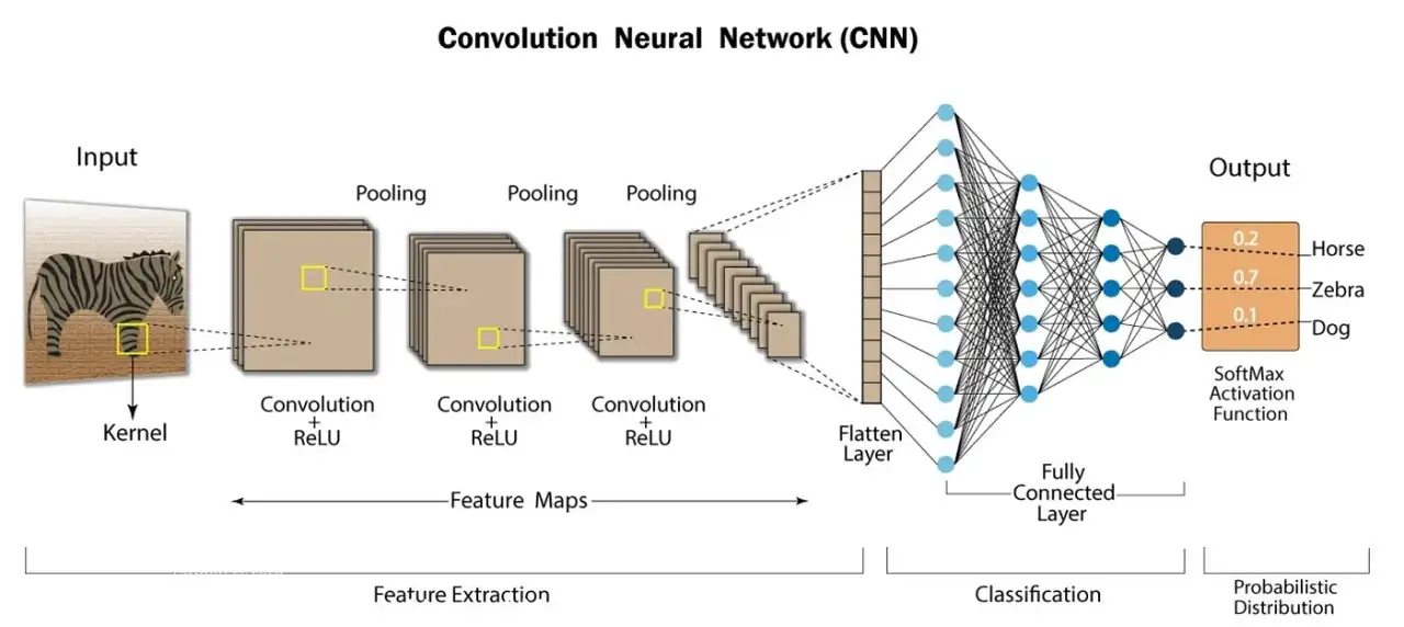 Convolutional Neural Network (CNN)