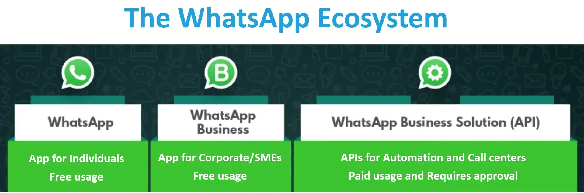 what is WhatsApp Business API