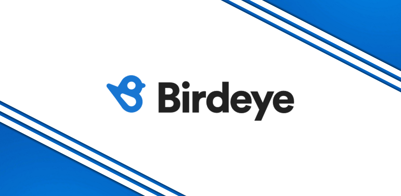 What is BirdEye