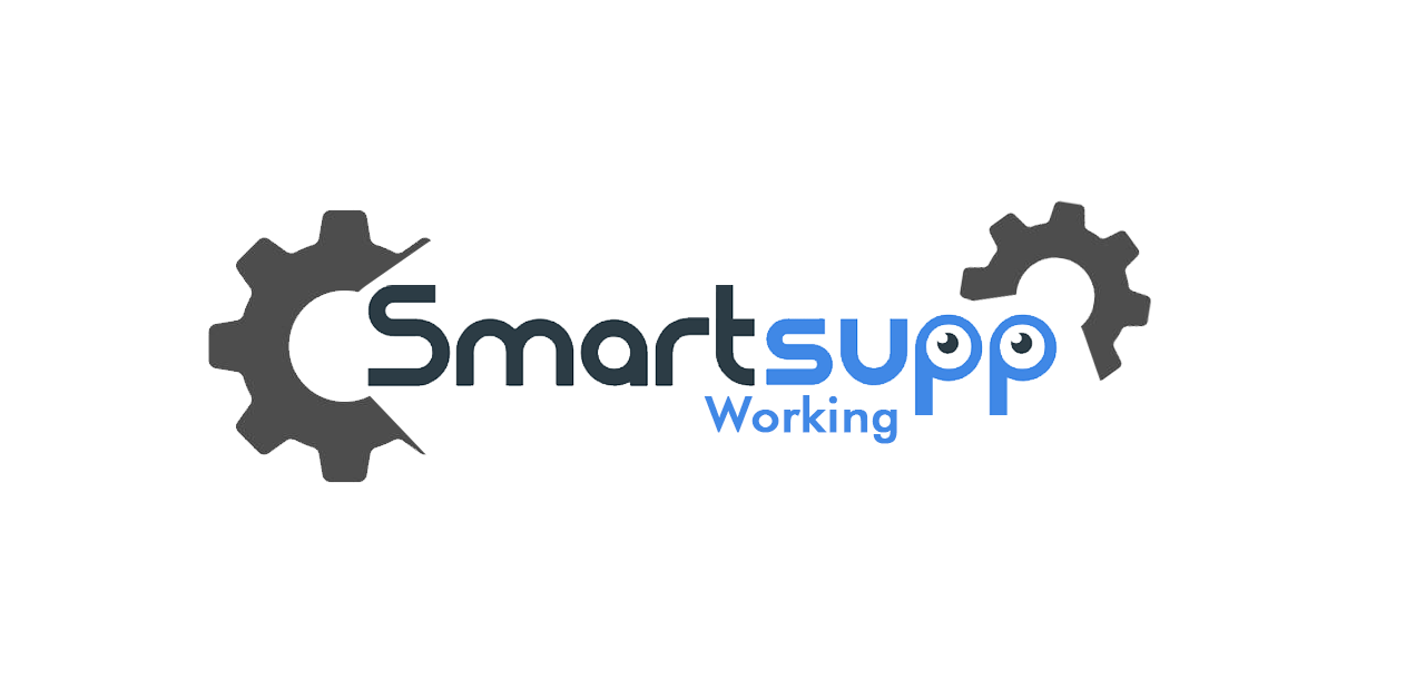Smartsupp_ How Does it Work_