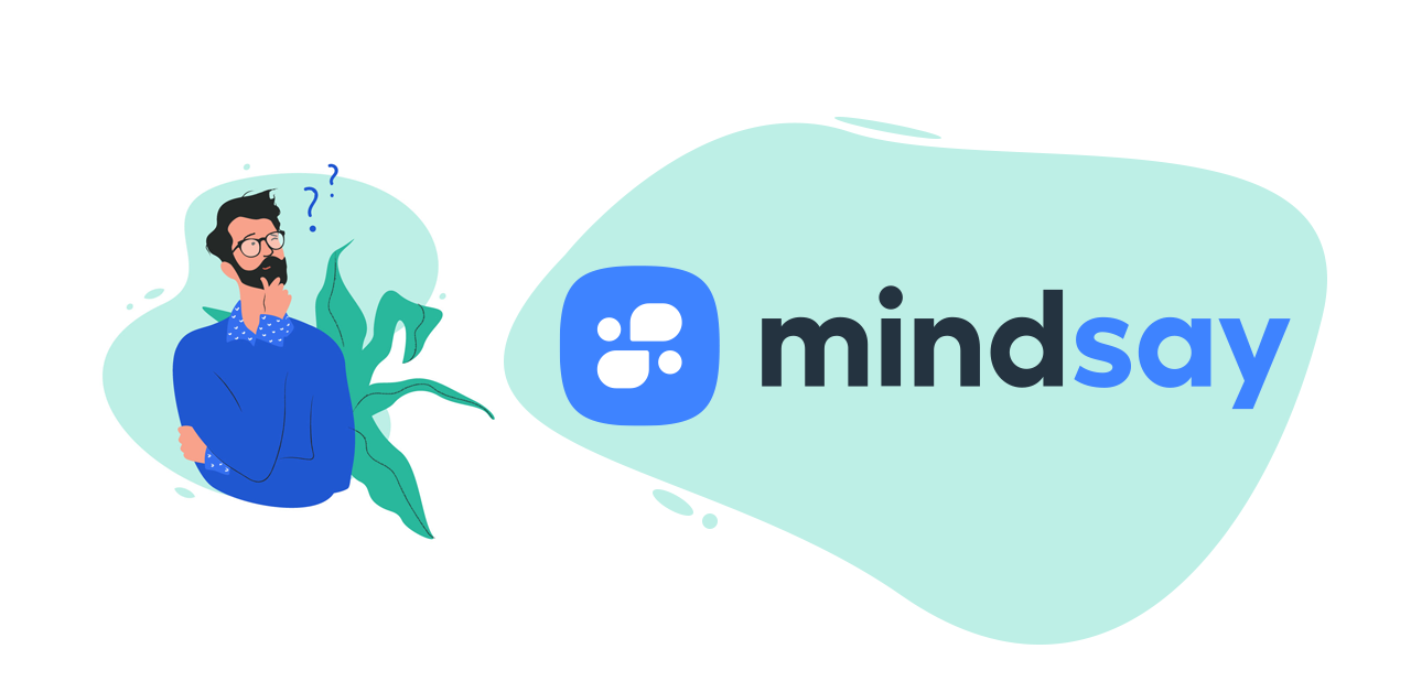 What is Mindsay