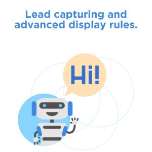 Lead capturing and advanced display rules
