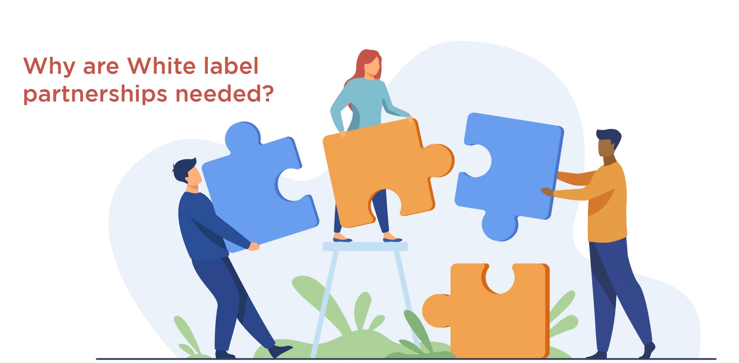 Why are White label partnerships needed? 